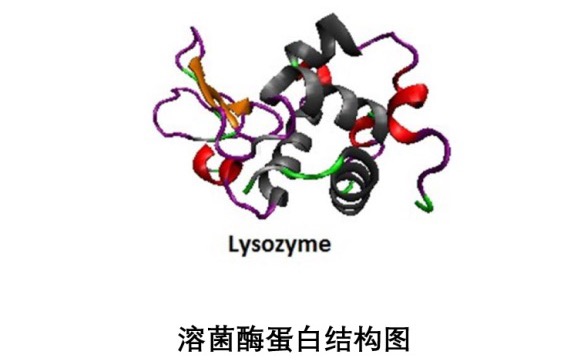 使用BeNano檢測VB1和溶菌酶的粒徑分布